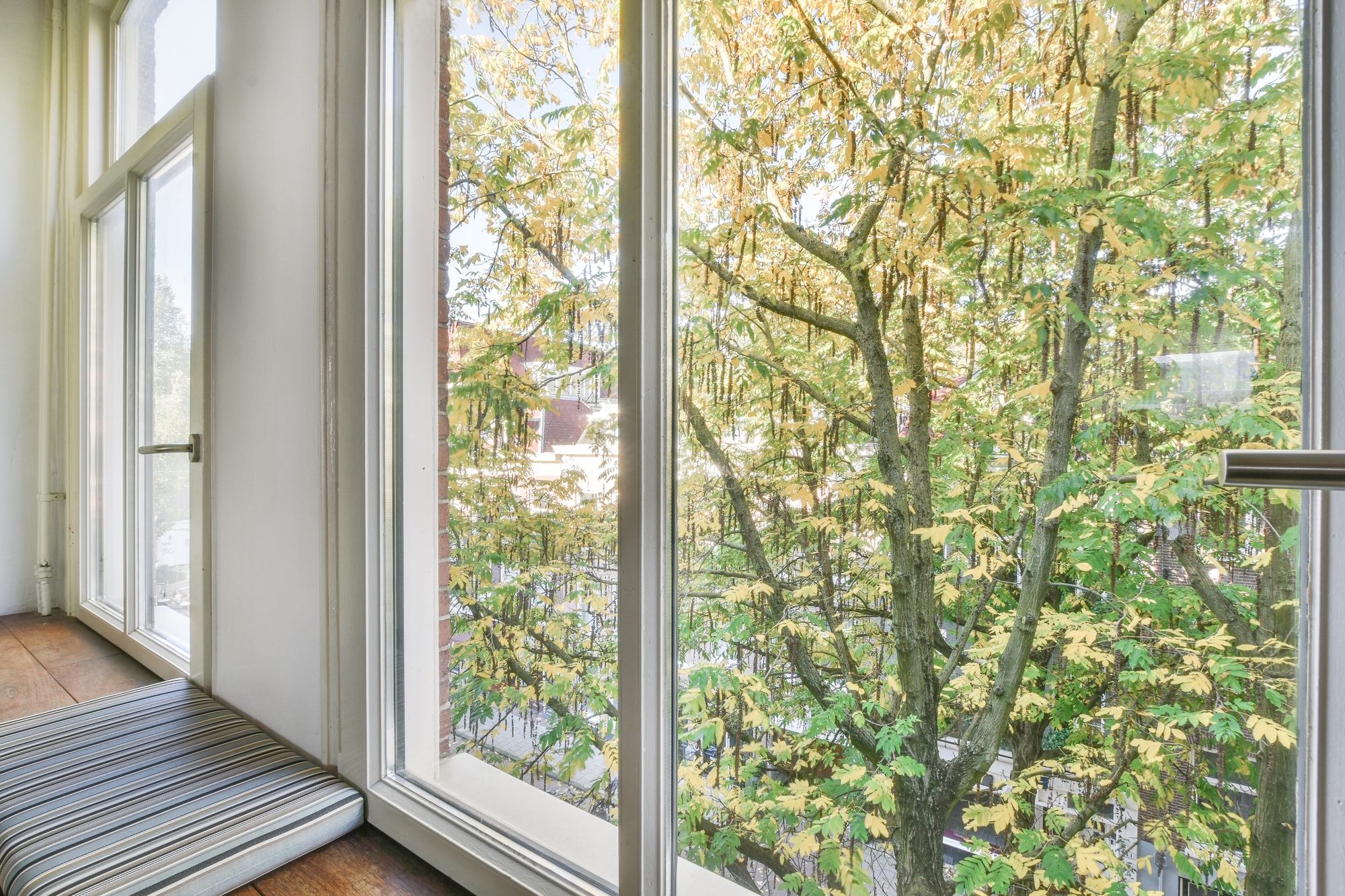 Beautiful window design